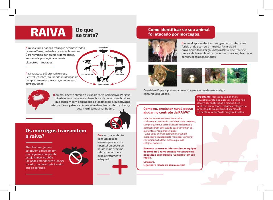 ​Caso de Raiva Bovina é Oficializado em Mafra: Medidas de Prevenção e Vacinação Orientadas